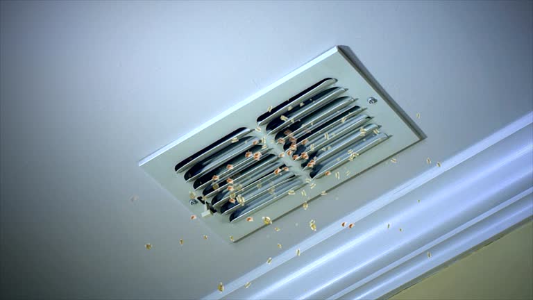 Best Home Air Vent Cleaning  in Fort Bragg, CA